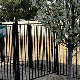 Dog Park  Dog Park